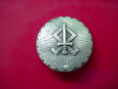 Landdienst Pin